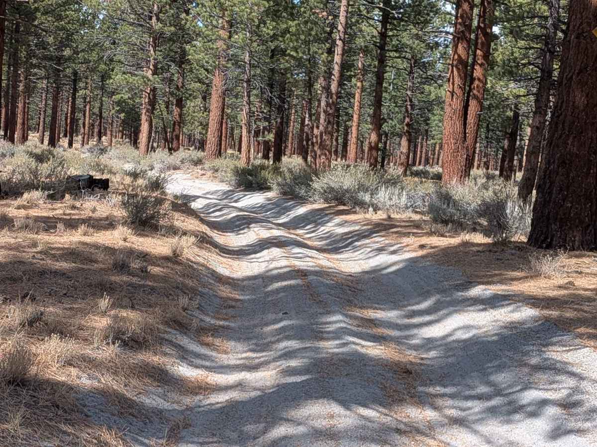Old Rail Road - FS 1S13 trail photo