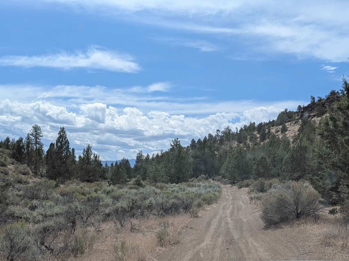 Cline Buttes OHV Trail 23 photo 3