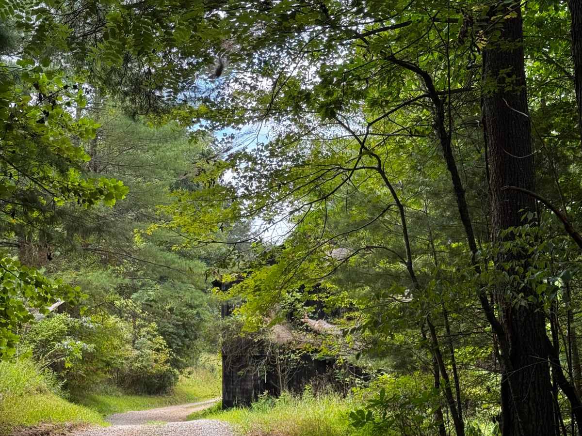 JC Trail 3 photo 3