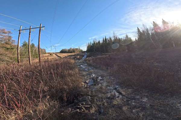 Trip Settlement Easy Hydro Line