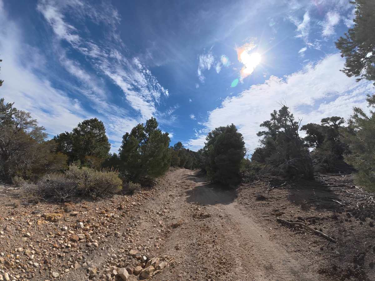 Dome Hill Road trail photo