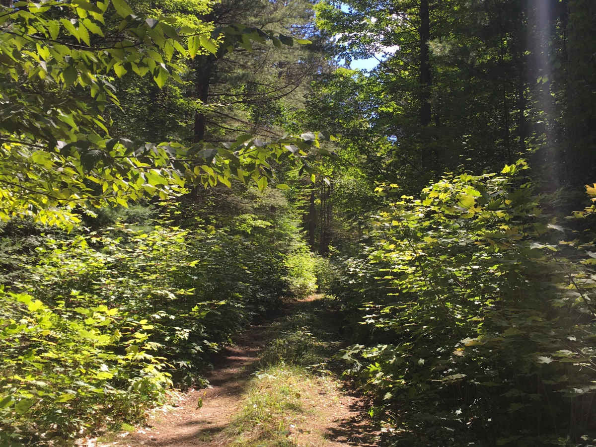 Wolski Road  photo 4
