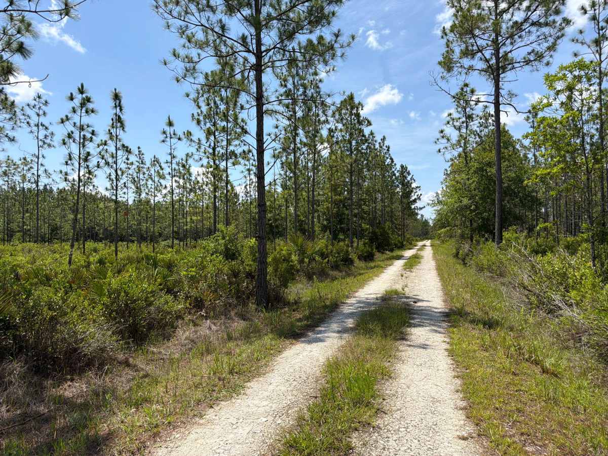 Quarters Road photo 3