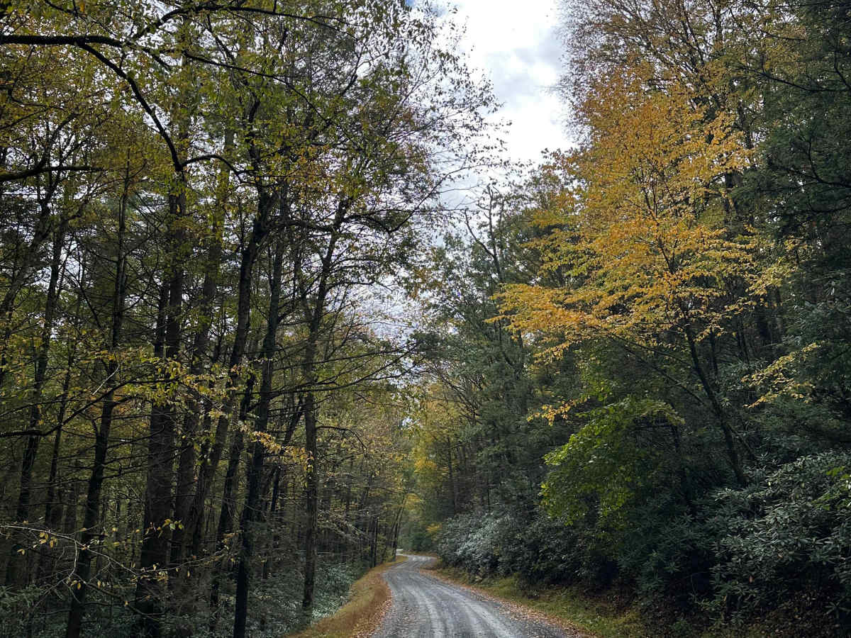 Milesburn Connector  trail photo