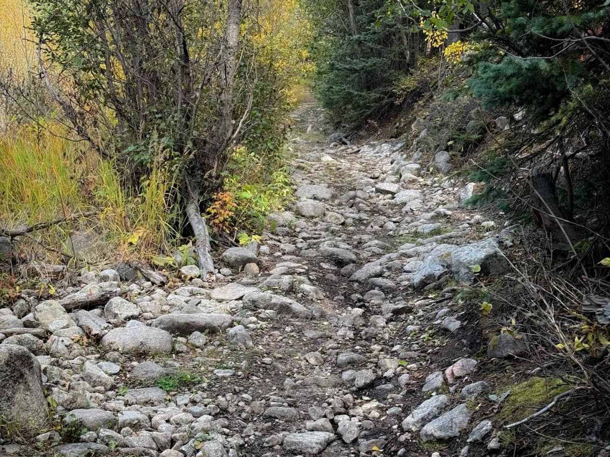 Middle Quartz Trail - FS 622  photo 3