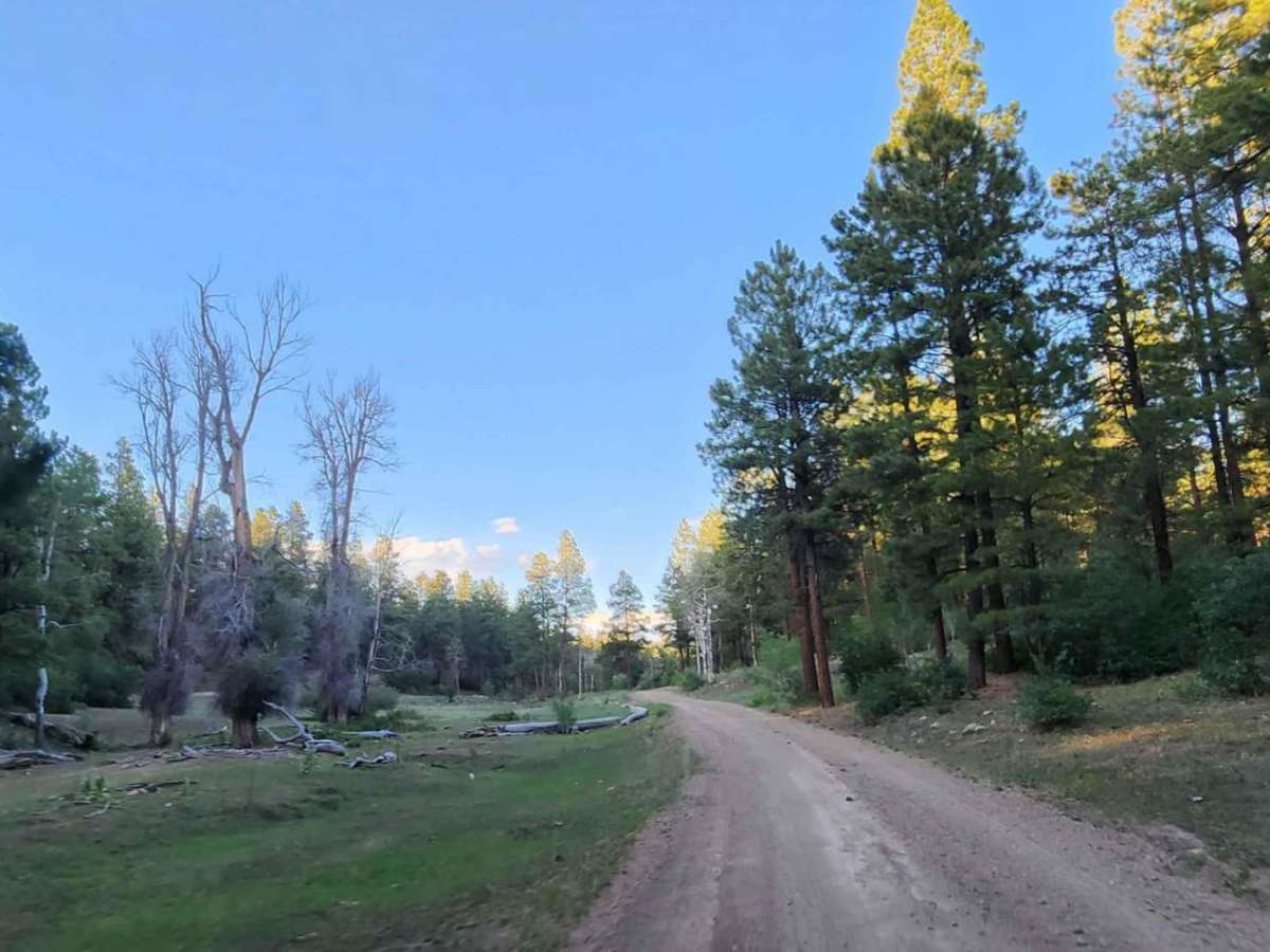 Upper House Creek Road photo 6