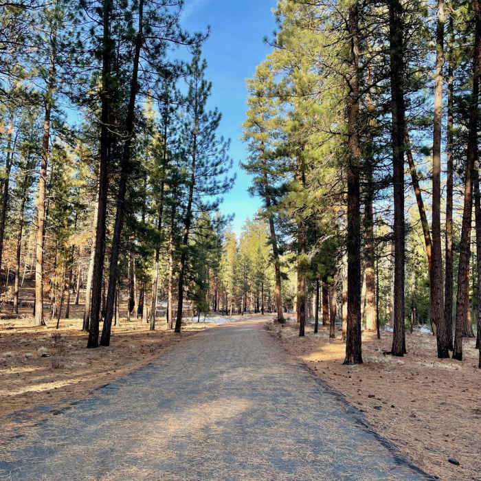 Near Fremont Road Trail