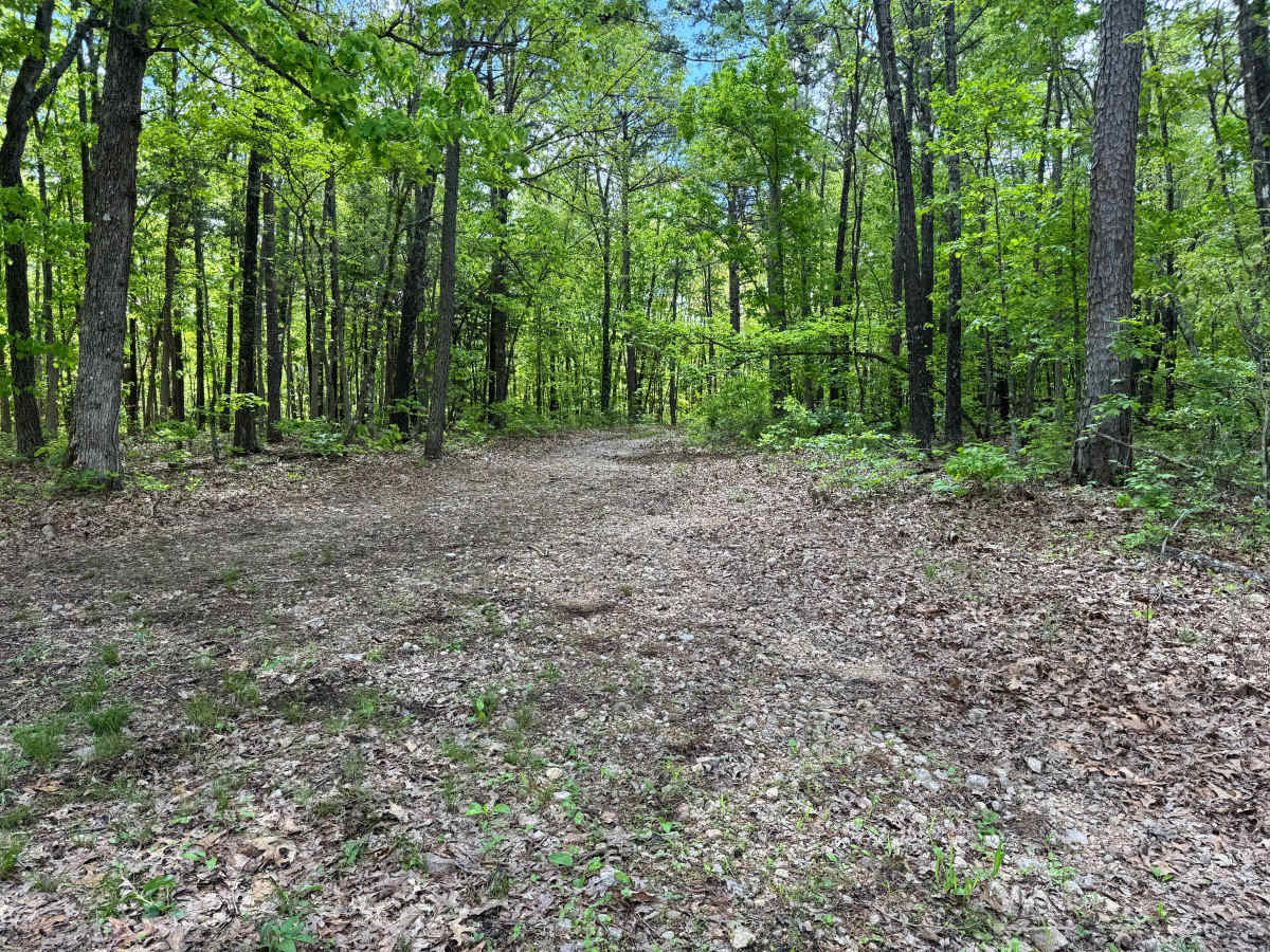 Pocket Eddy Ford Spur A photo 5