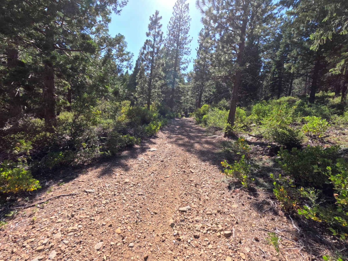 Mohawk Creek - FS 22N42 photo 3