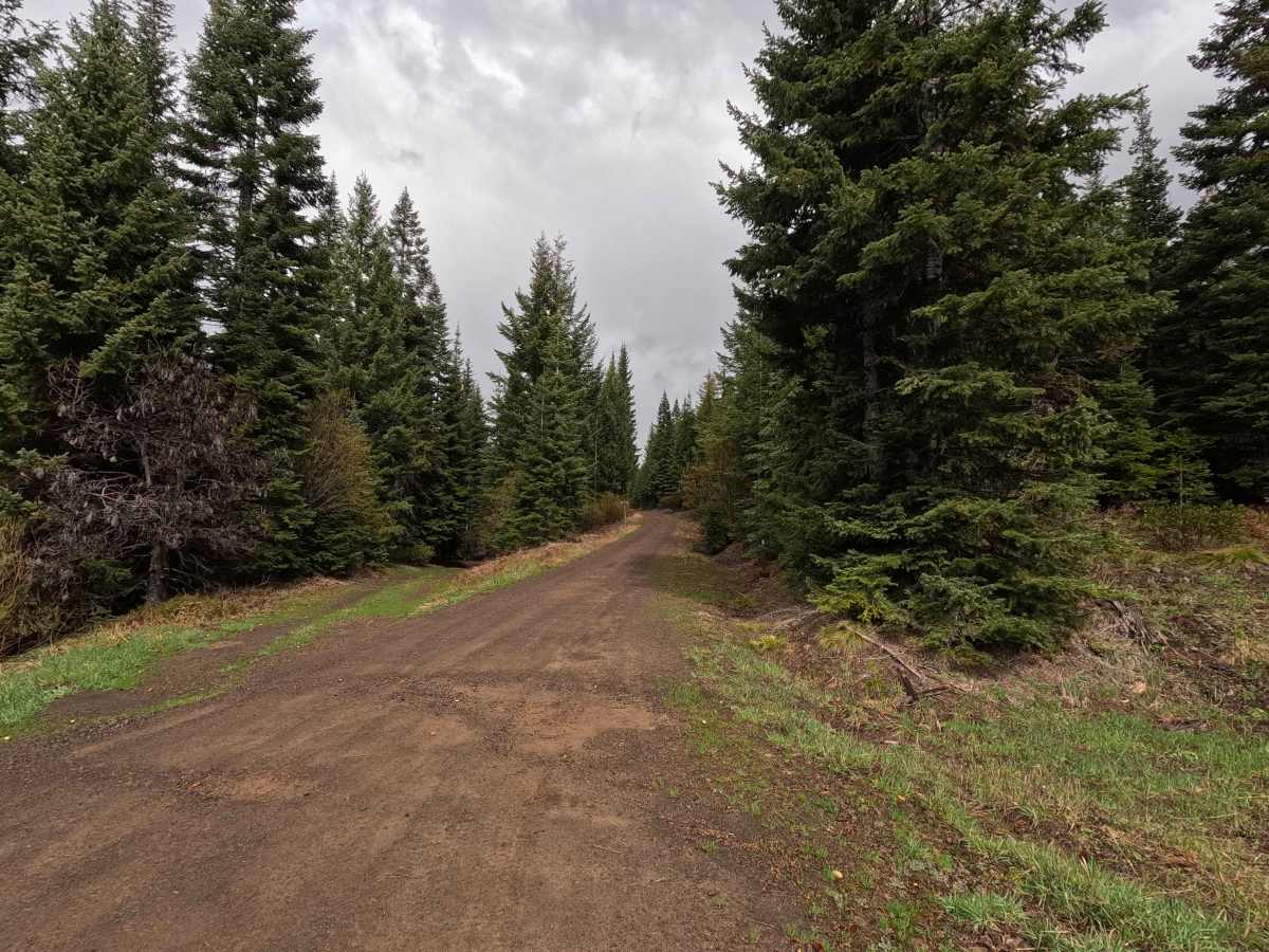 Palmer Junction - FS 6231 photo 6