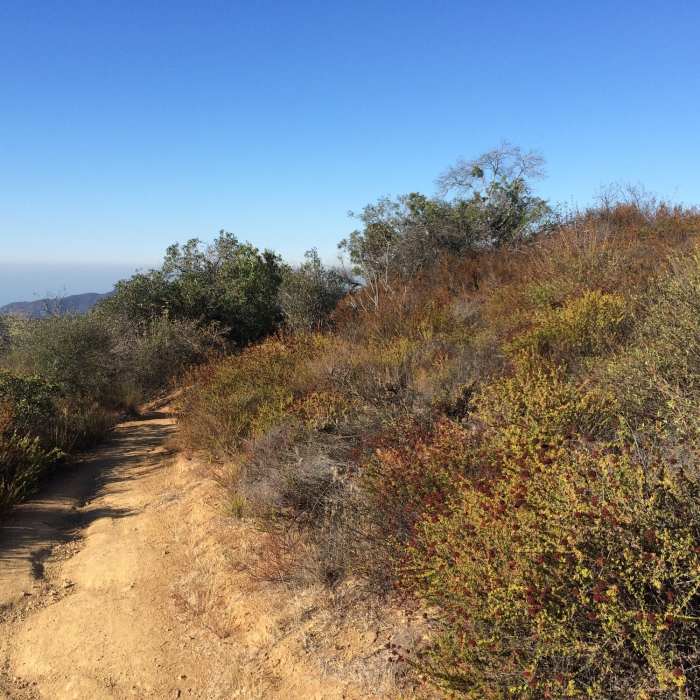 Near Temescal Ridge Trail