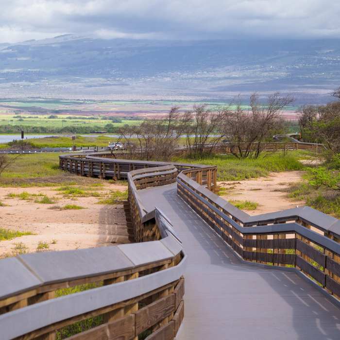 Near Kealia Coastal Boardwalk