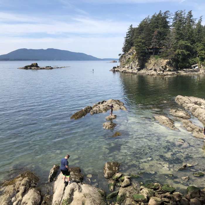 Near Samish Bay Access Trail