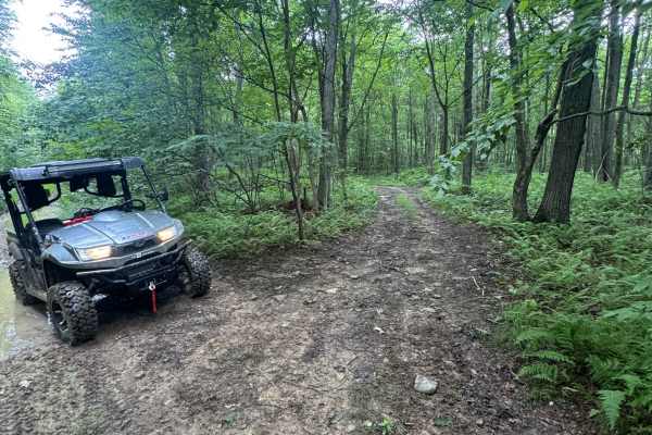 Trail 53