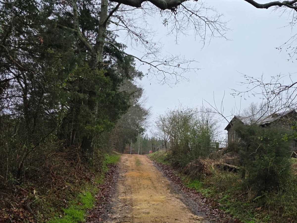 Pond Dam Road trail photo
