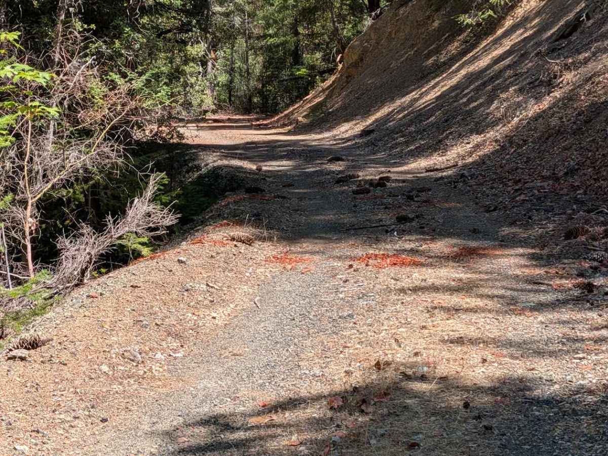 Blue Gulch Road - FS 30N25 photo 4