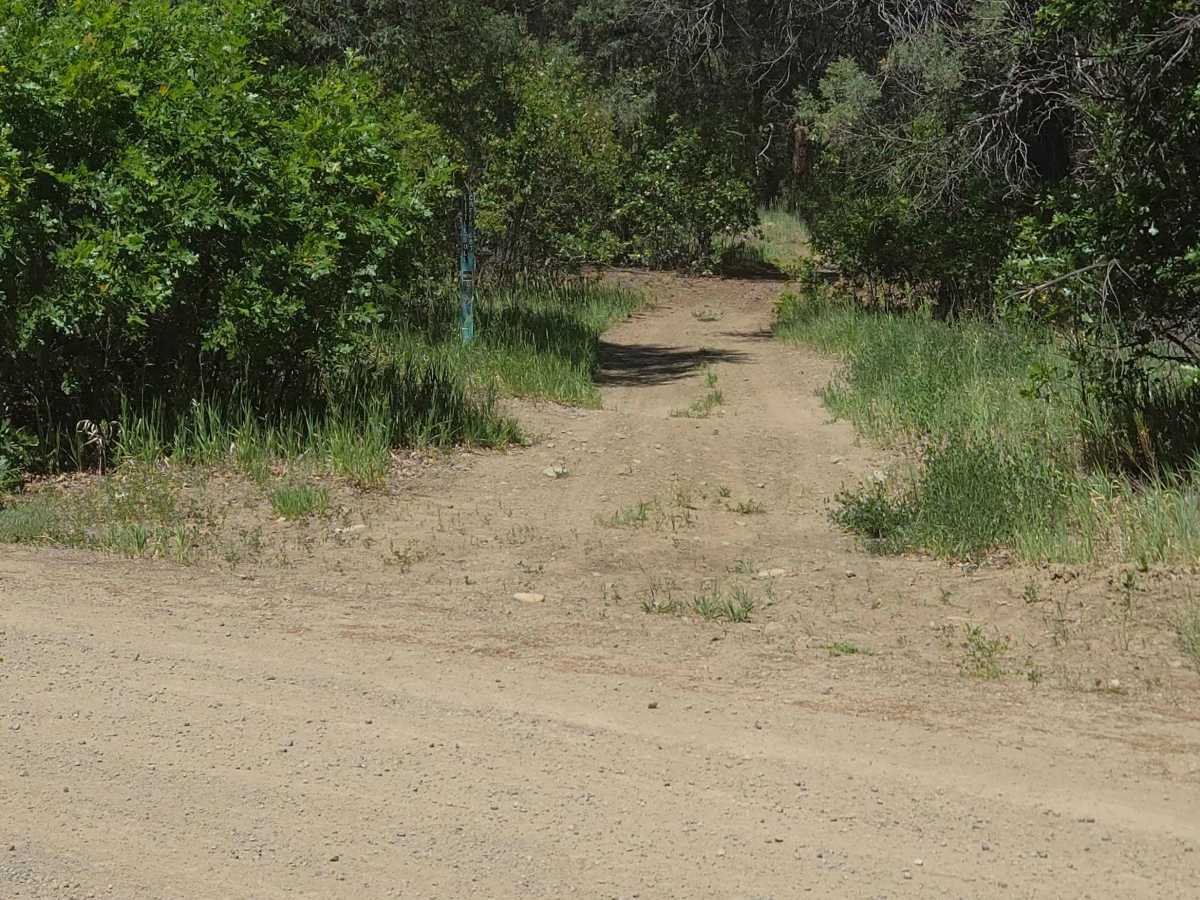 Little Bull Creek Trail - FS 683 trail photo
