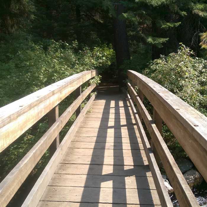 Near Shevlin Loop Trail