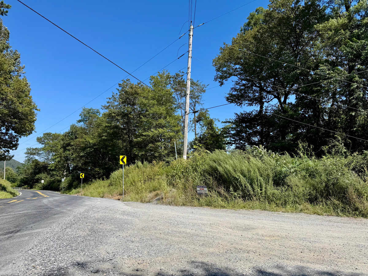 Bear Valley Road photo 4