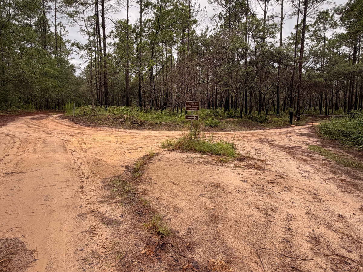 Griffin Ridge WMA photo 5