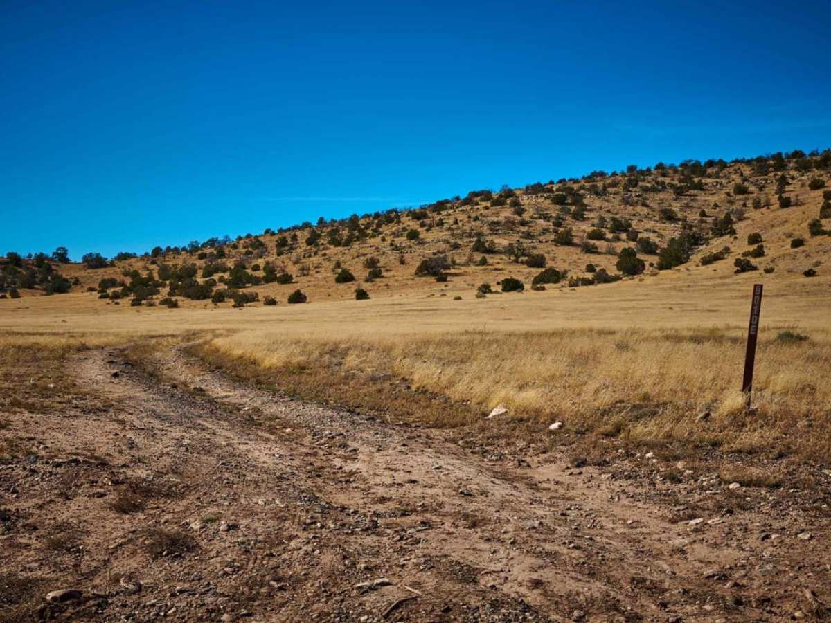 FR 9010E trail photo