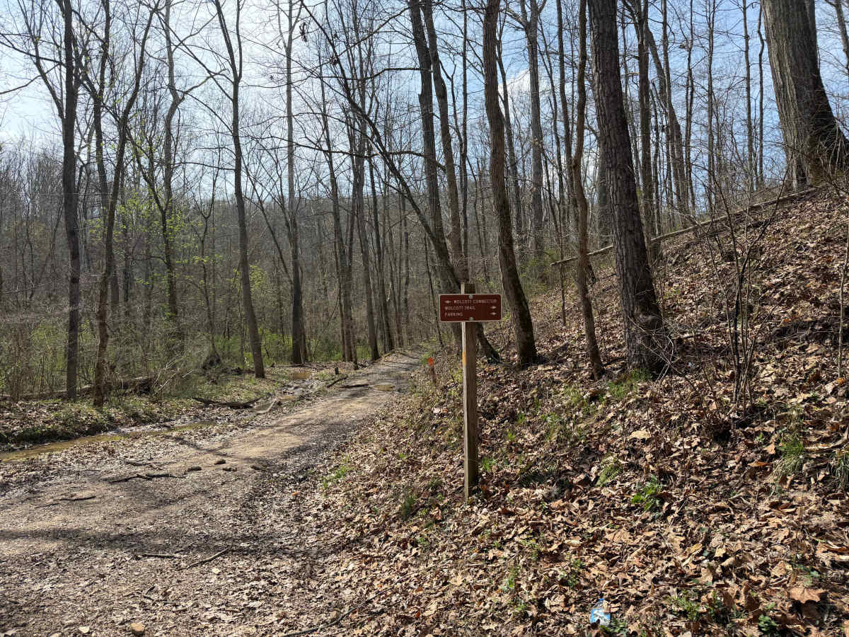 Wolcott Loop trail photo
