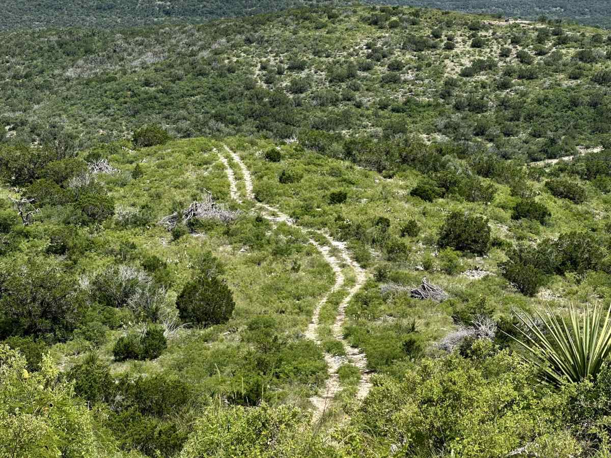 The Hard Way trail photo