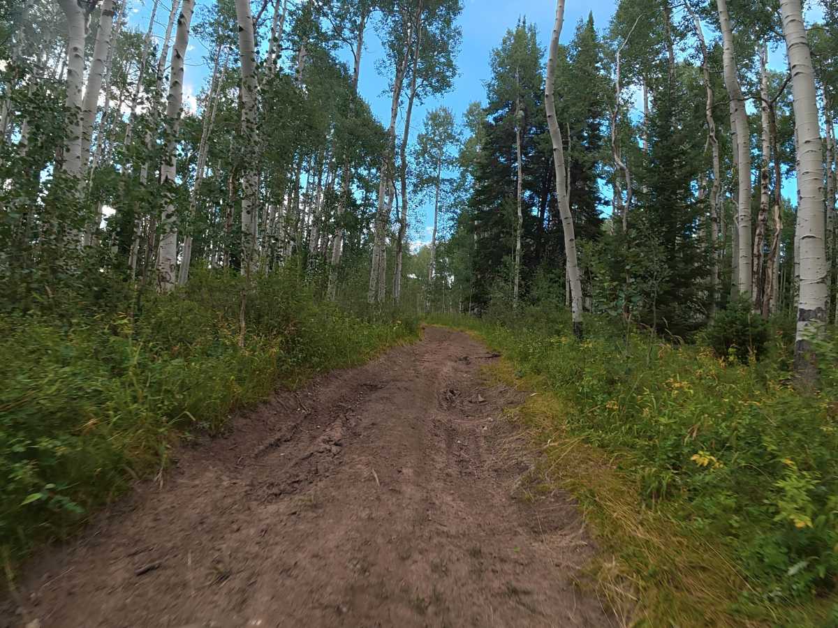 Elk Ridge Road - FS 248 photo 3