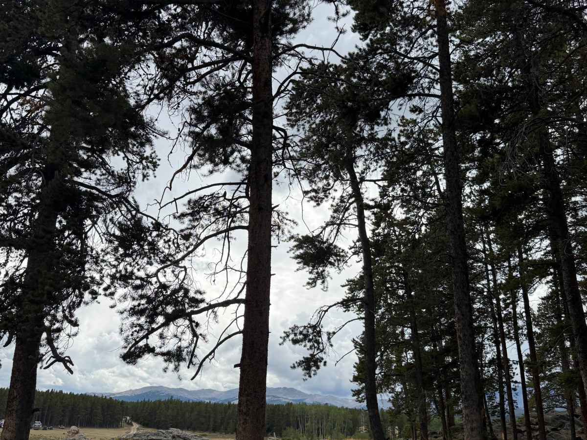 Circle Park photo 2