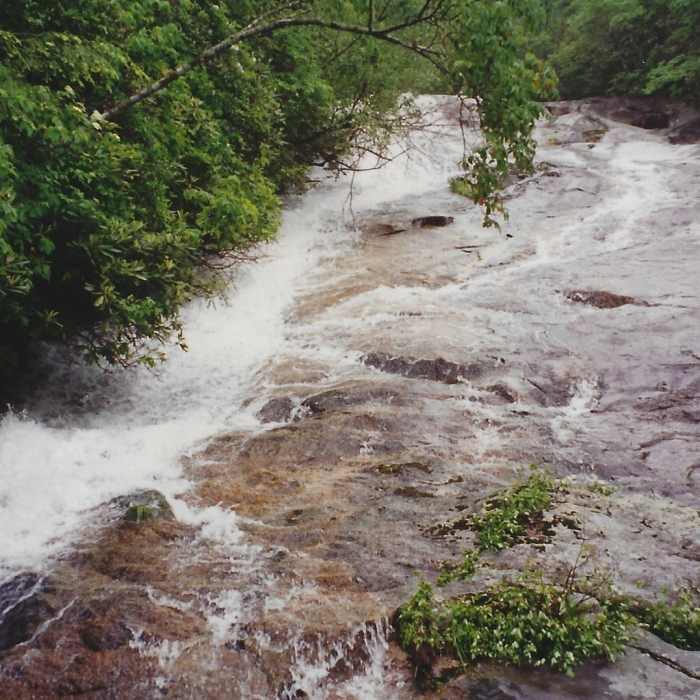 Near North Harper Creek Trail