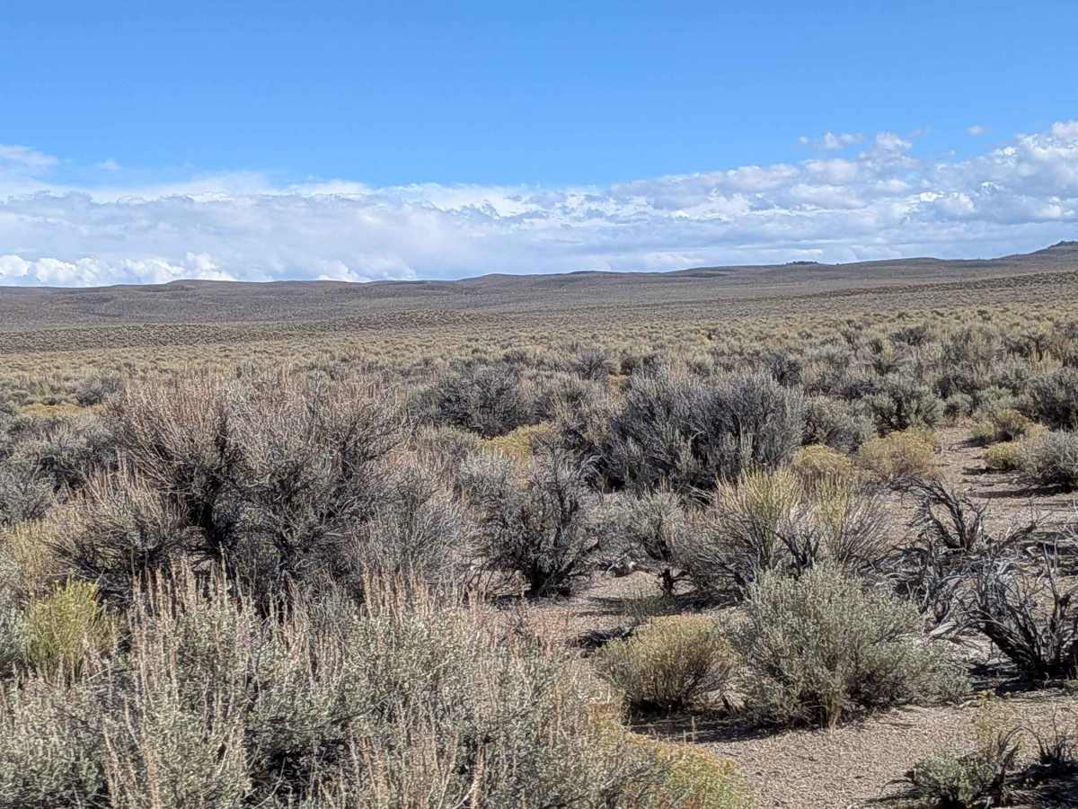Wilfred Canyon Cutoff - FS 4S148 photo 4