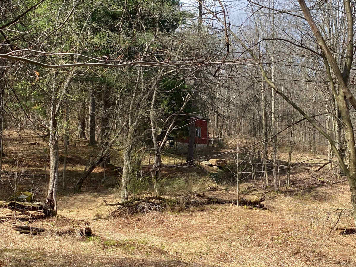 Blackberry Lane photo 4