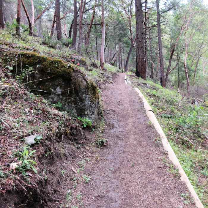 Near Waterline Trail