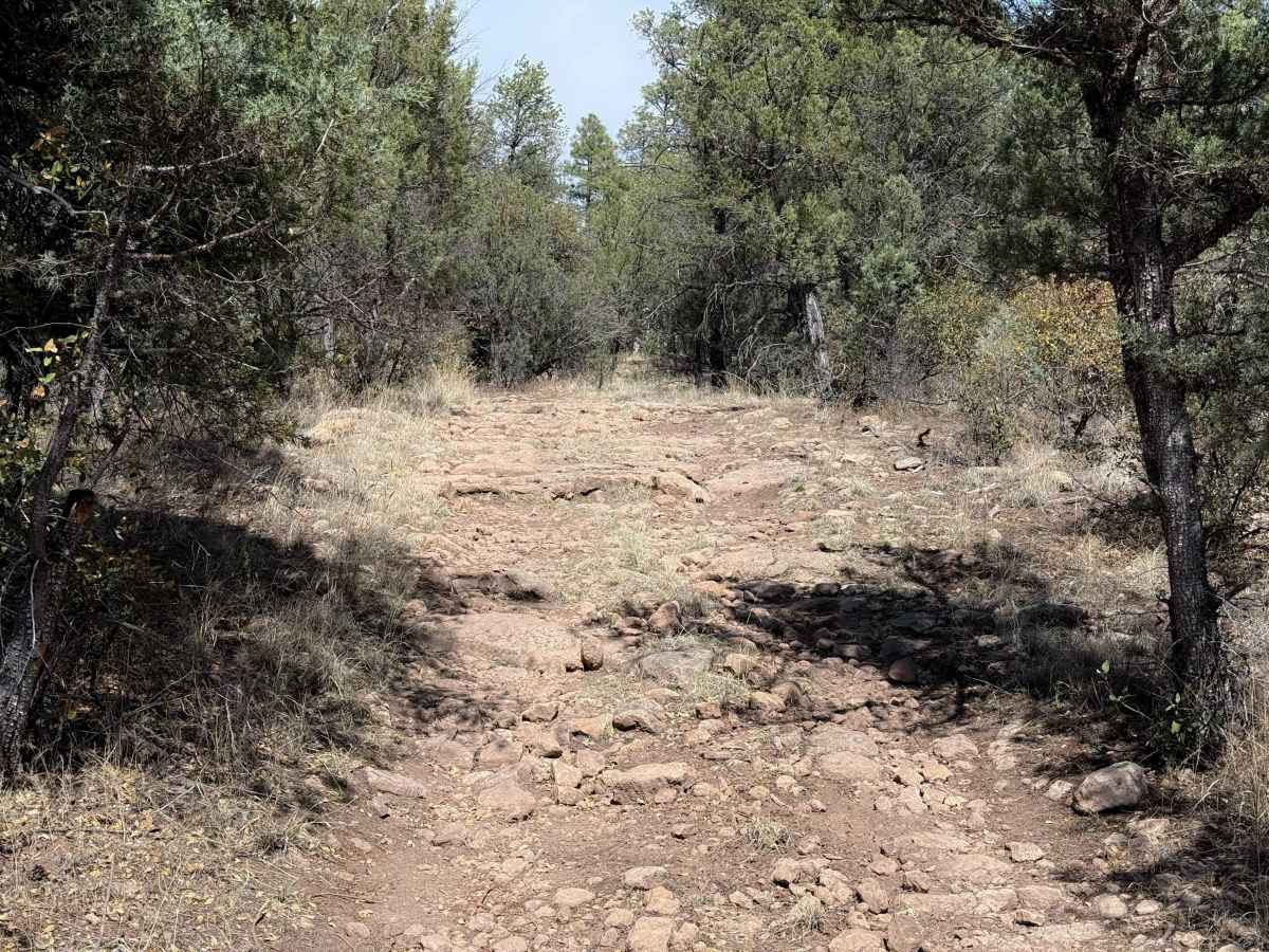 960 trail photo