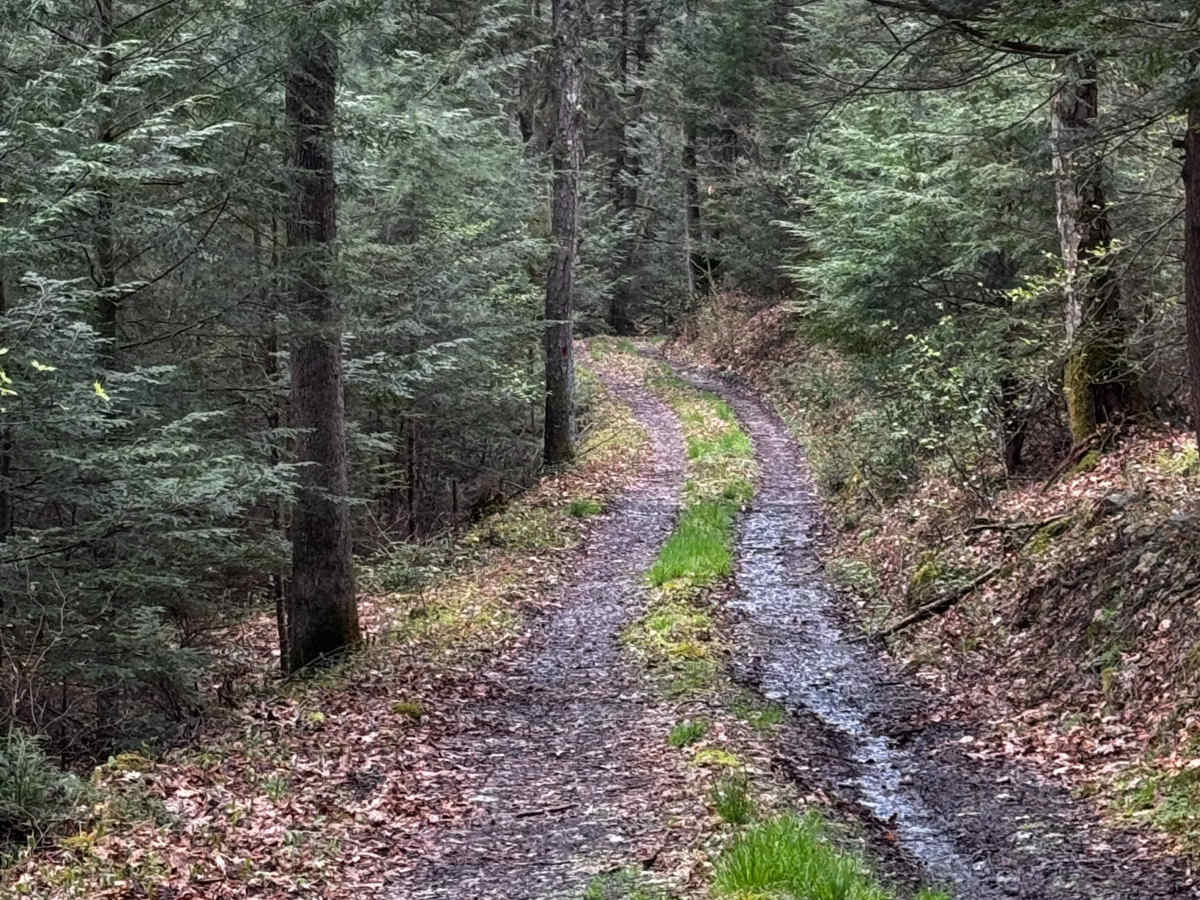 Eagleton Fields Trail photo 6