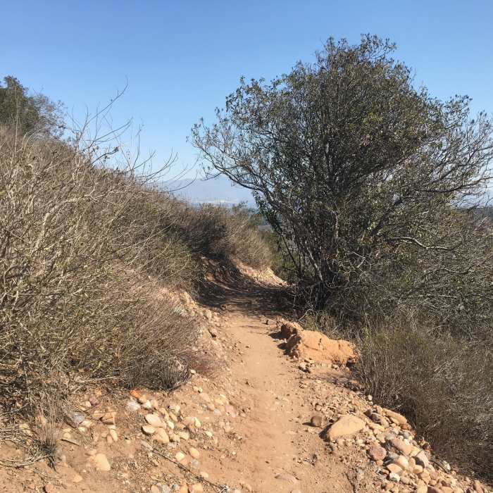 Near Stagecoach South Intermediate Loop