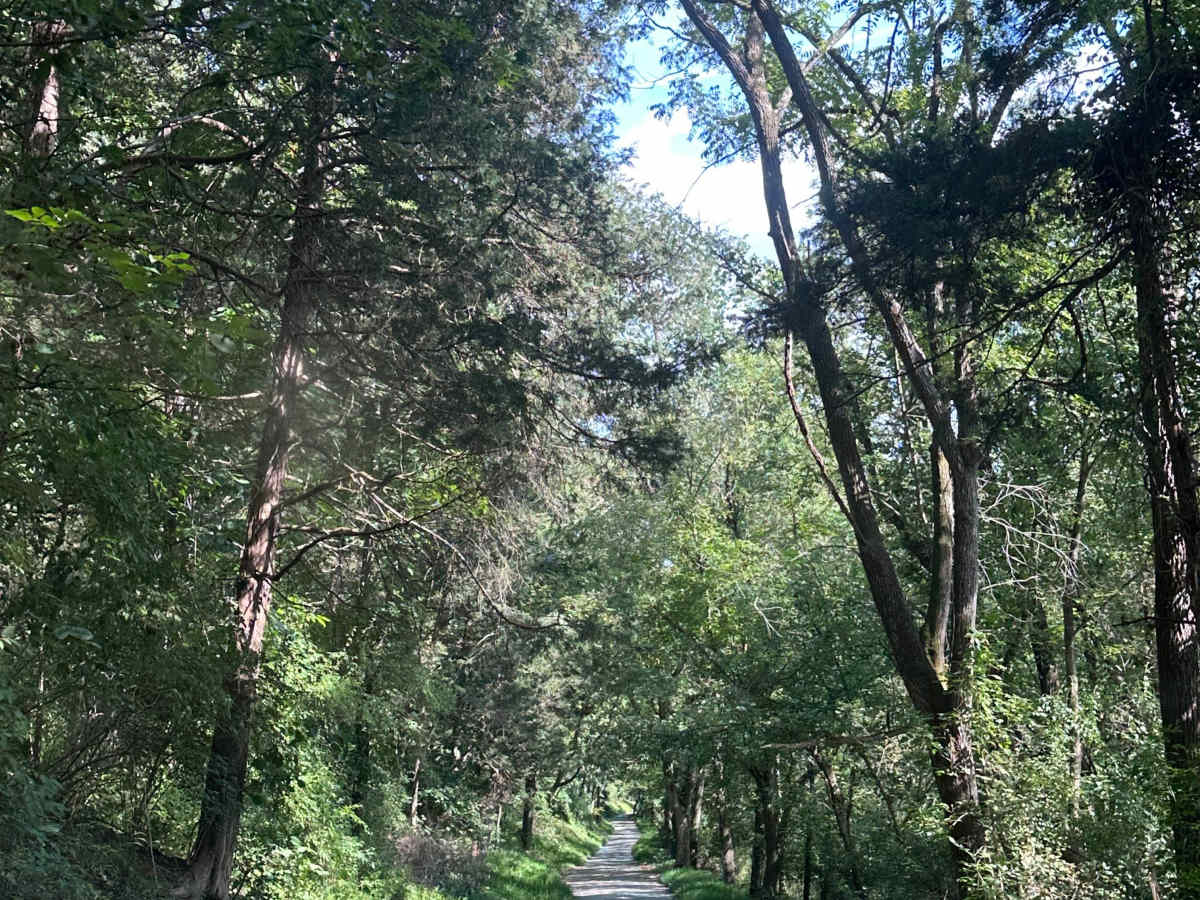 Riverwater Lane trail photo