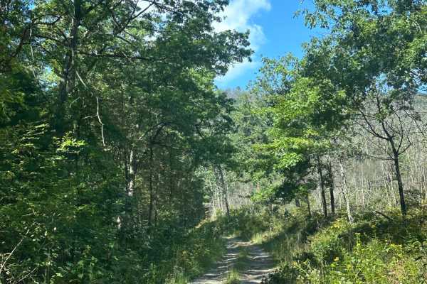 White Oak Flat