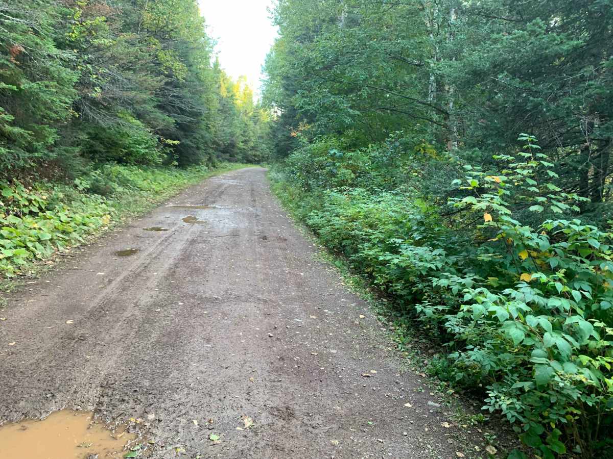 Cloquet Lake Road - FS 102 photo 6
