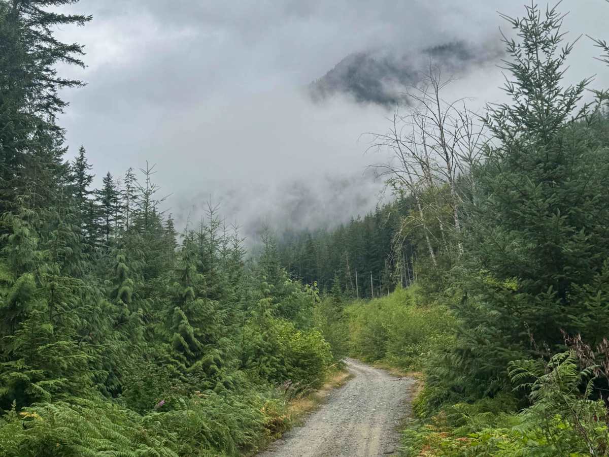 Upper Chehalis - SK 100 photo 4