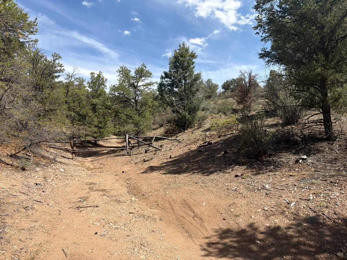 BLM 6161A photo 6