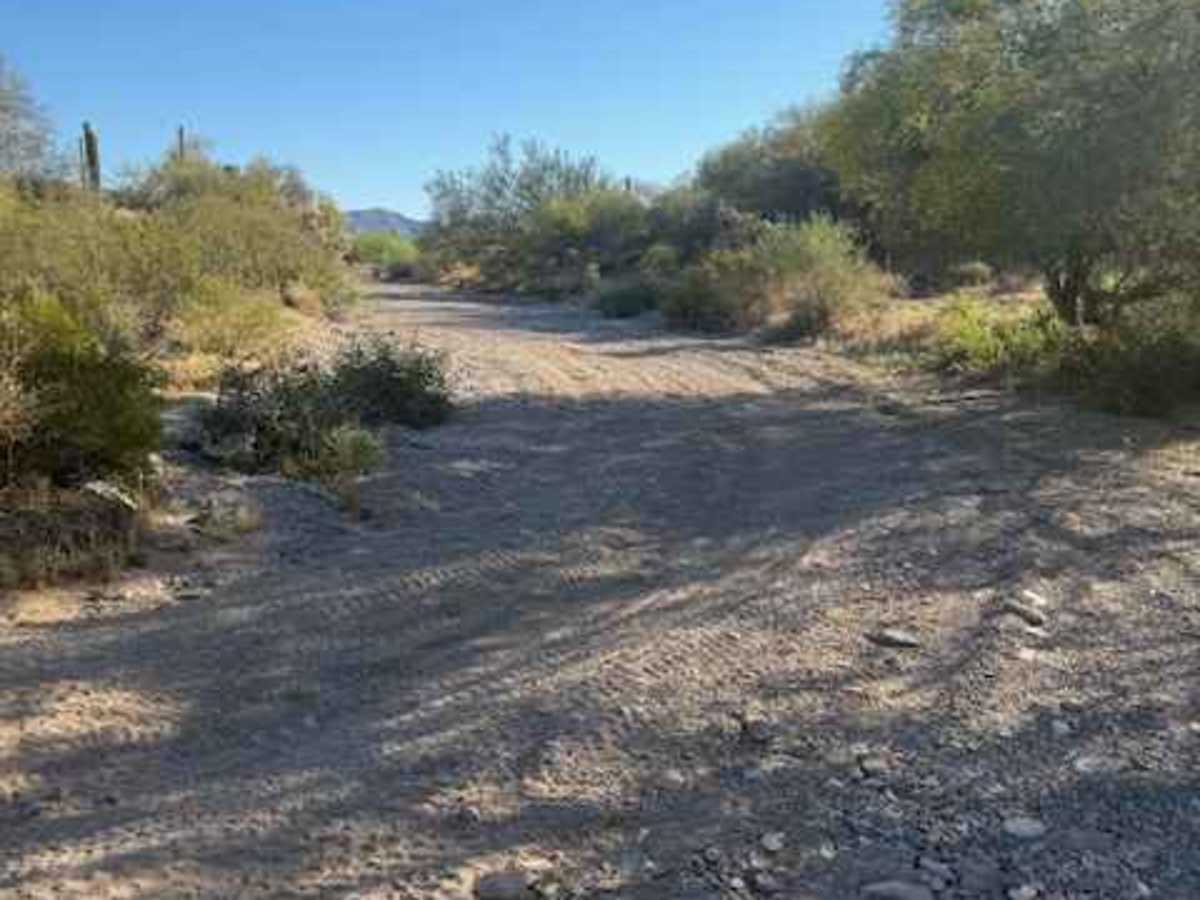 Nw2077a trail photo
