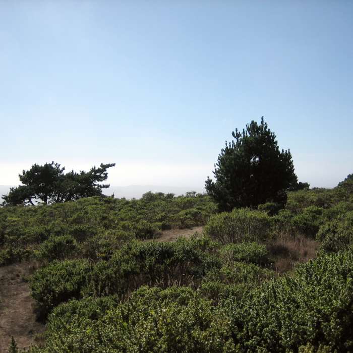 Near Inverness Ridge