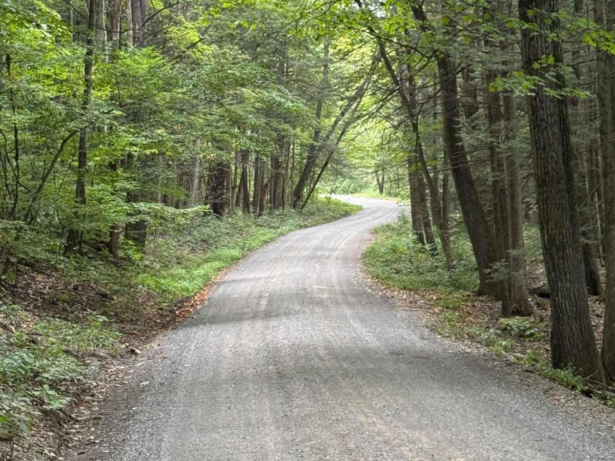 Rock Run Road trail photo