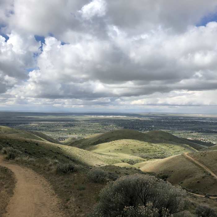 Near Homestead Trail #12