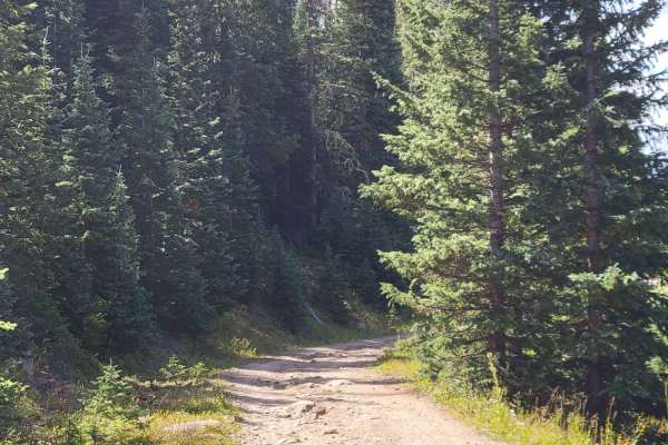 West Fork Park Creek Ascent