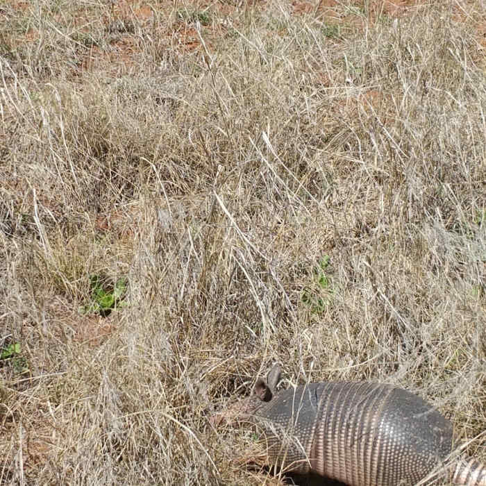 Little guys like this love this area Near Owl Cove Recreation Area