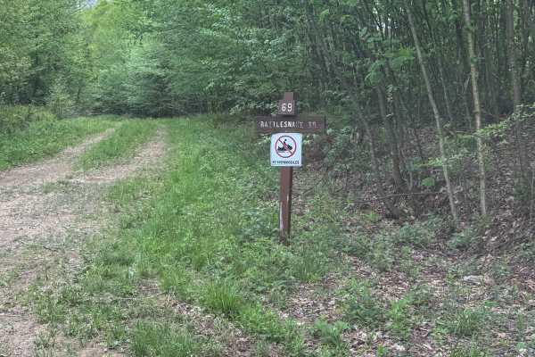 Rattlesnake Trail