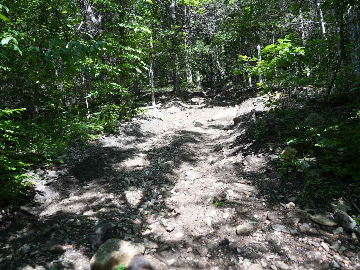 Bickel's Shitty Hill photo 5