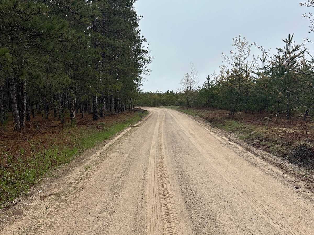 Lynn Lake Road photo 4